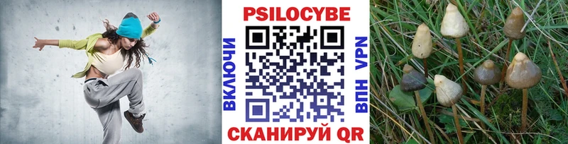 Купить где  Кстово  Псилоцибиновые грибы мицелий 